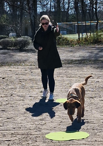 einweisen-hund-kurs