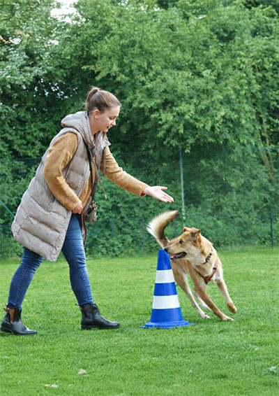 Quer-durch-den-Garten-Kurs